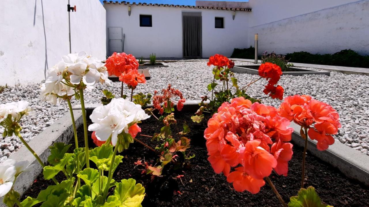 São Pedro do Corval Casa Dos Vizinhos - Casas De Taipaヴィラ エクステリア 写真